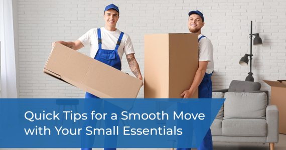 Quick Tips for a Smooth Move with Your Small Essentials | Bronte Movers